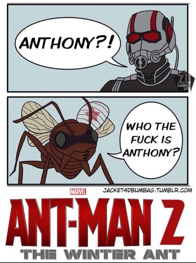 AntMan11