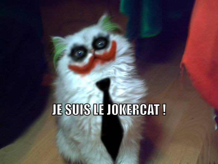 Joker !! - meme
