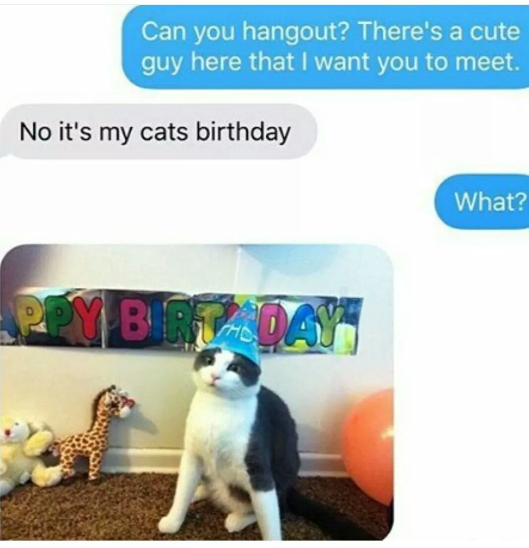 Birthdays are important - meme