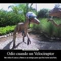 Tengo problemas con velociraptors es la segunda foto