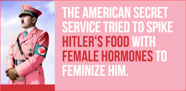 This actually true. Maybe the hormone did work! - meme