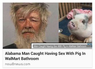 have you ever been so mad that you fucked a pig? - meme