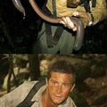 Grylls, POSITIVE PARTY