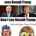 Dolan you silly duck