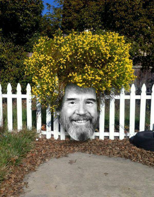And here is a happy little bush. - meme