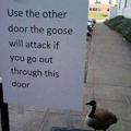 Damn geese ( ͡° ͜ʖ ͡°)
