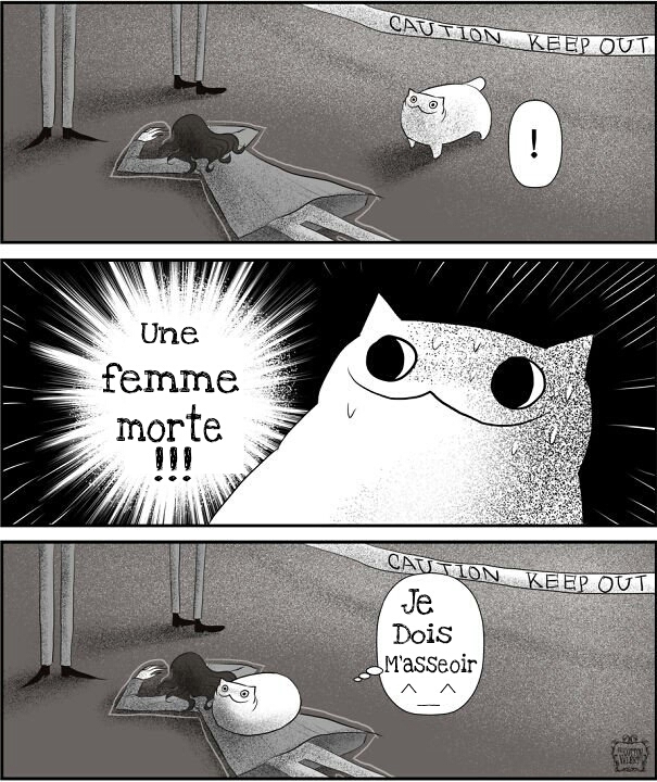Logique des chats - meme