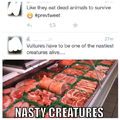 Wow what kind of creature eats dead animals to survive?...