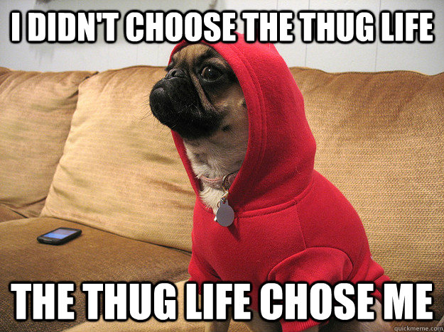 Thug Life - meme