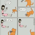 Things of cats