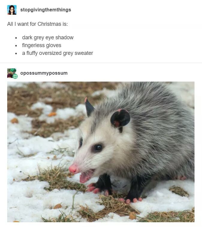 Opossummypossum - meme