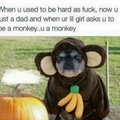 4th comment wears the monkey suit