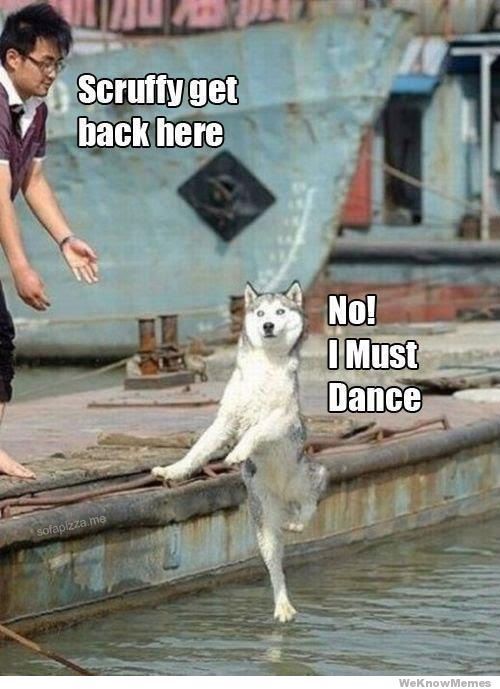 That dog is too damn good at dancing - meme