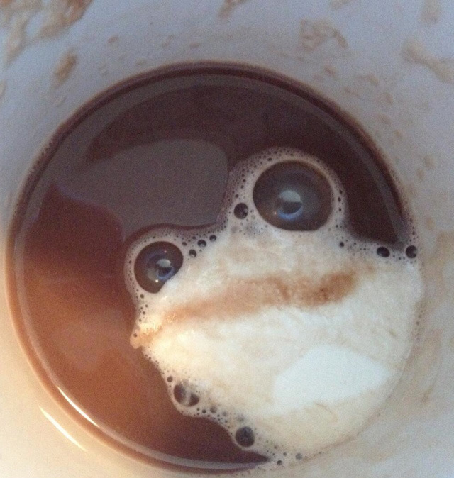 Ya une grenouille dans ton café ;-) - meme