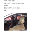 That's sheep