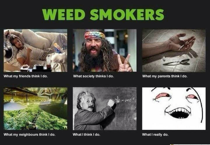 smoke weed everyday - meme