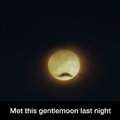 The gentlemoon