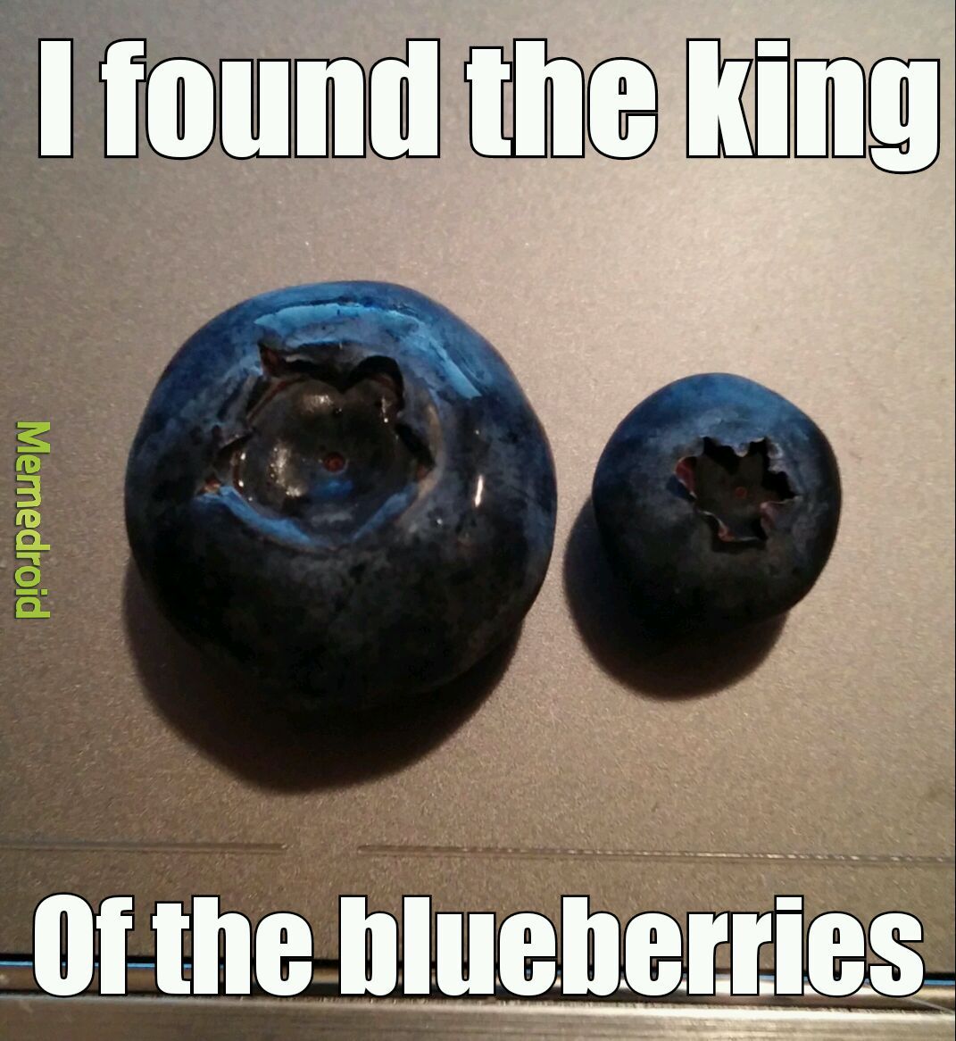 Blueberries - meme
