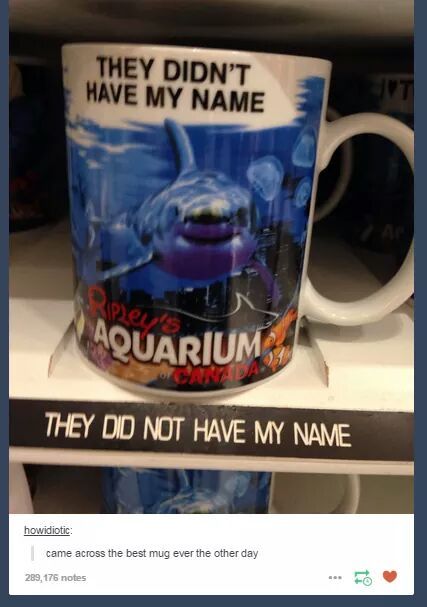 Yes, my name is "they did not have my name" - meme