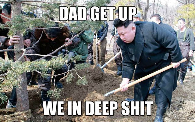 The Koreas reached an agreement - meme