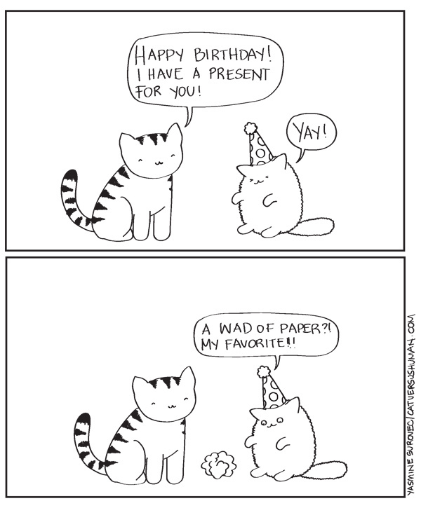 a cats birthday - meme