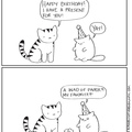 a cats birthday
