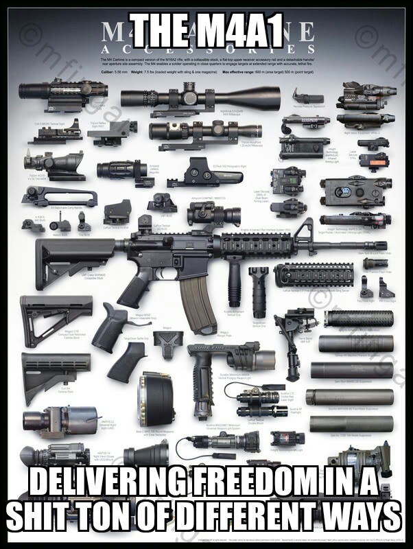 Freedom gun - meme