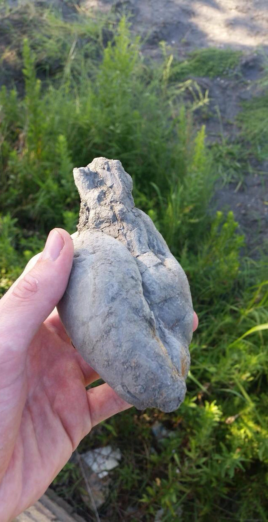 Una piedra en forma de corazón - meme
