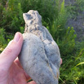 Una piedra en forma de corazón