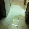 This is why you don't put dawn in a dishwasher