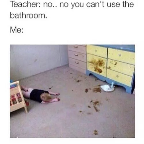 Shitty Teachers - meme