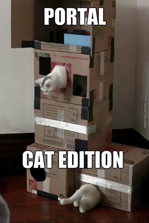Portal cat edition - meme