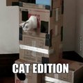 Portal cat edition