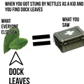 Dock leaves