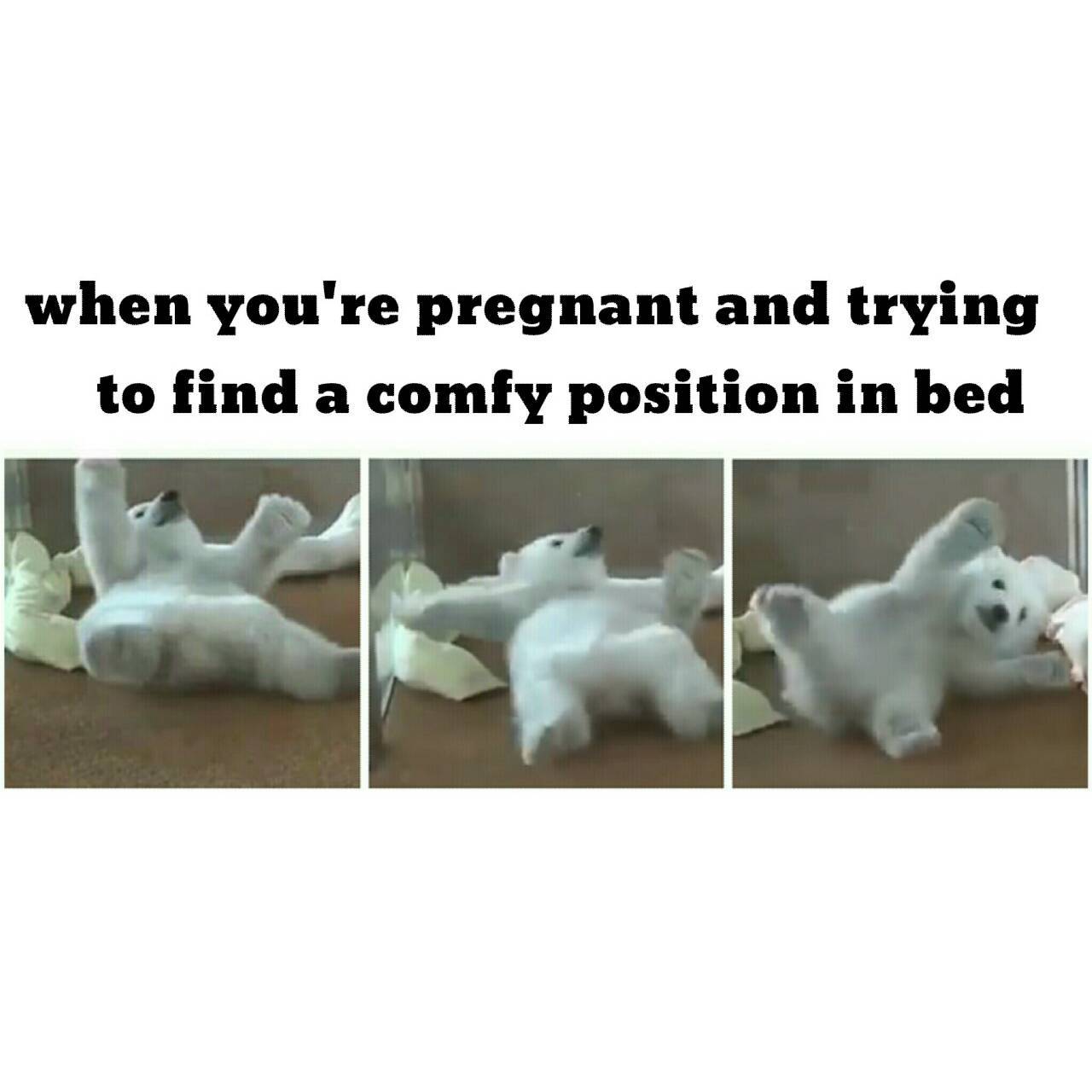 Pregnancy problems - meme