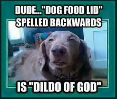 Dogfood lid - meme