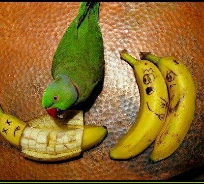 Meurtre de banane... - meme