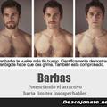 Barbas
