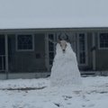 Just a snowman in Texas