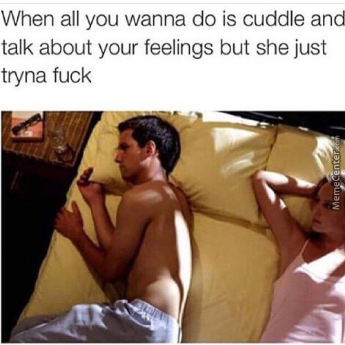 I just wanna cuddle and talk about your day. - meme