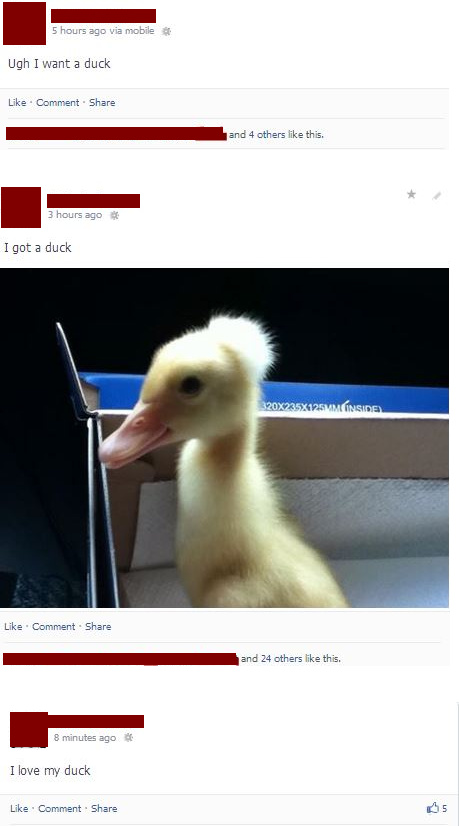 I want a duck too - meme