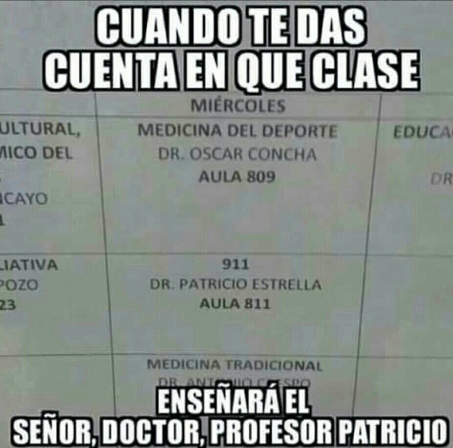 Señor Doctor Profesor Patricio para usted!! - meme