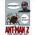 the winter ant