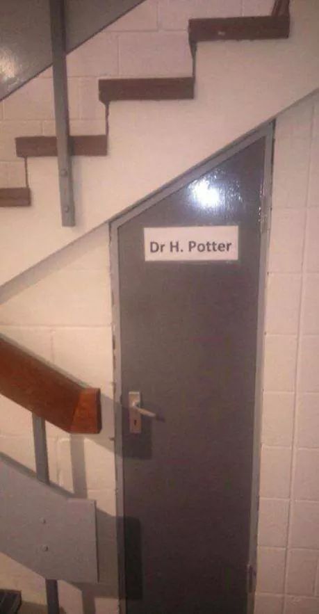 Dr potter - meme