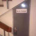 Dr potter
