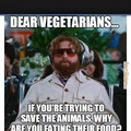 Stupid vegetarians