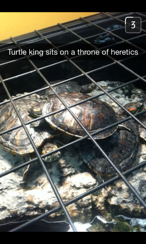 Heretic turtles - meme