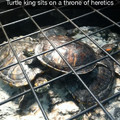 Heretic turtles