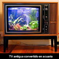 Acuario TV