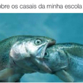 Tipo isso...